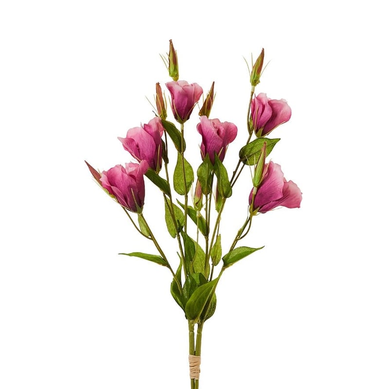 Spring Stems Lisianthus Rose 