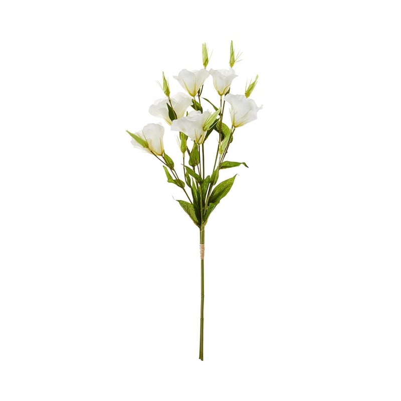 Spring Stems White Lisianthus 