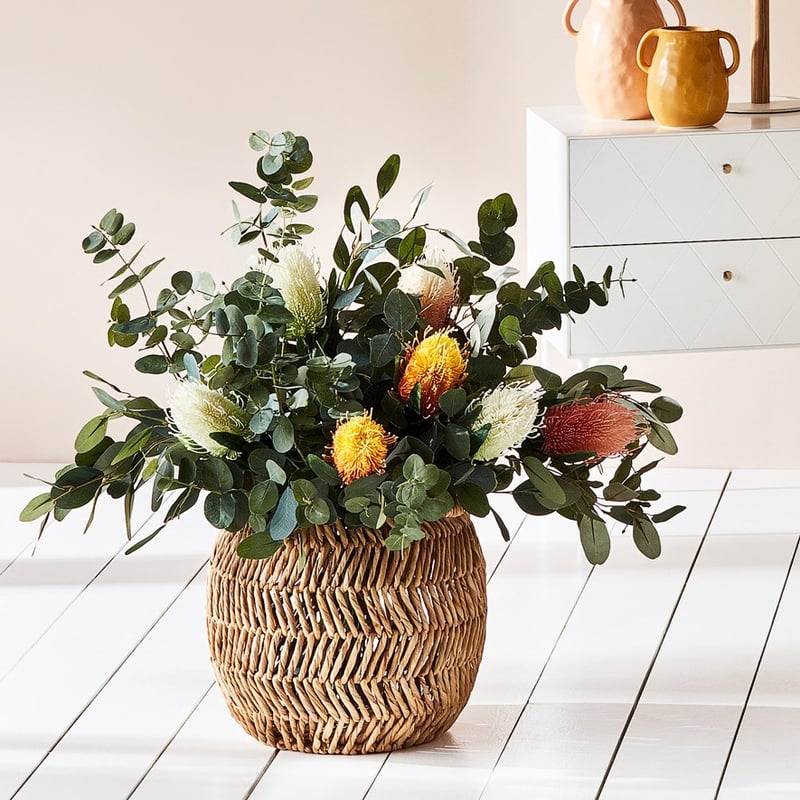 Orange Banksia Spring Stems