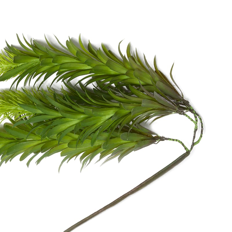 Spring Stems Amazon Hanging