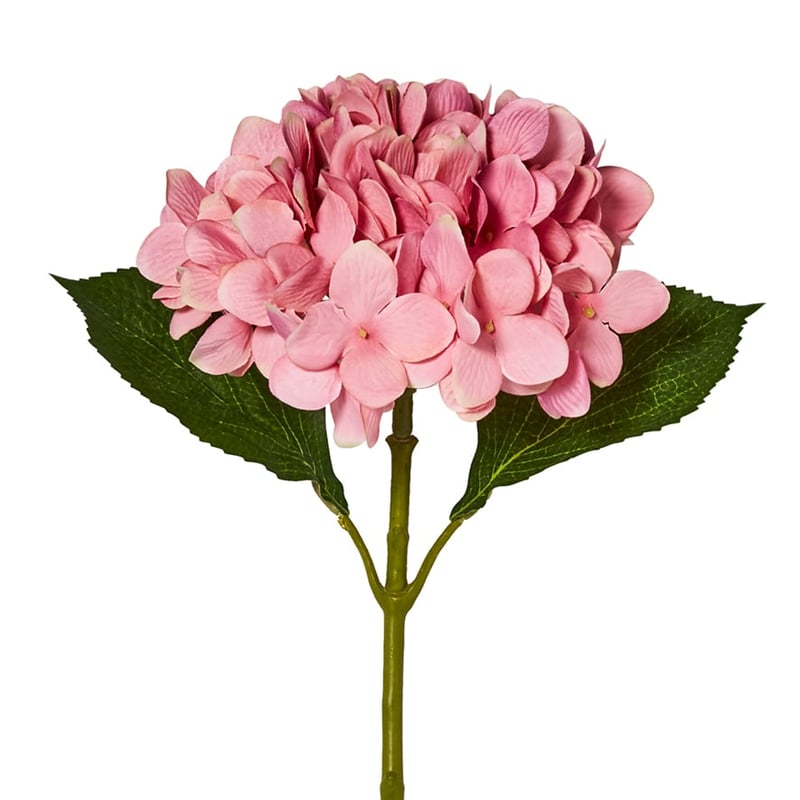 Spring Hydrangea Pink Stem