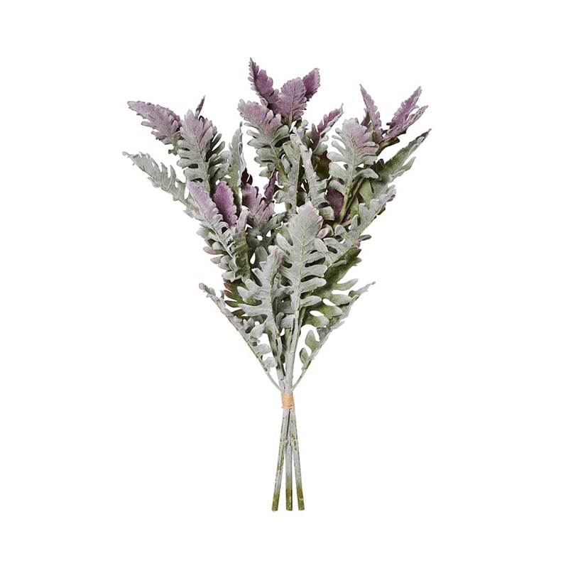 Spring Large Cineraria Leaf Silver Stem