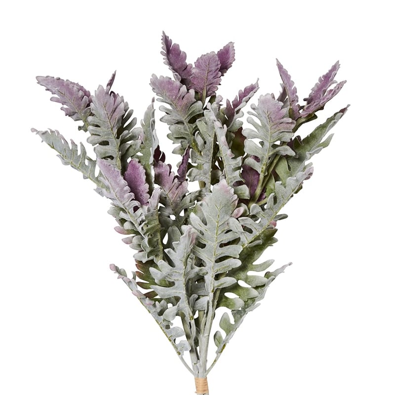 Spring Large Cineraria Leaf Silver Stem