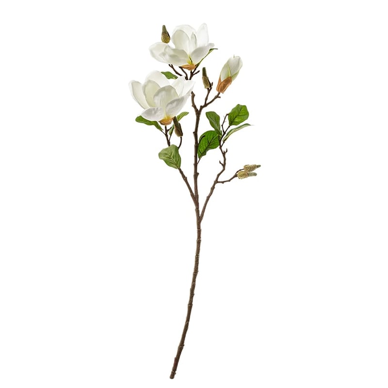 Spring Stem Magnolia White