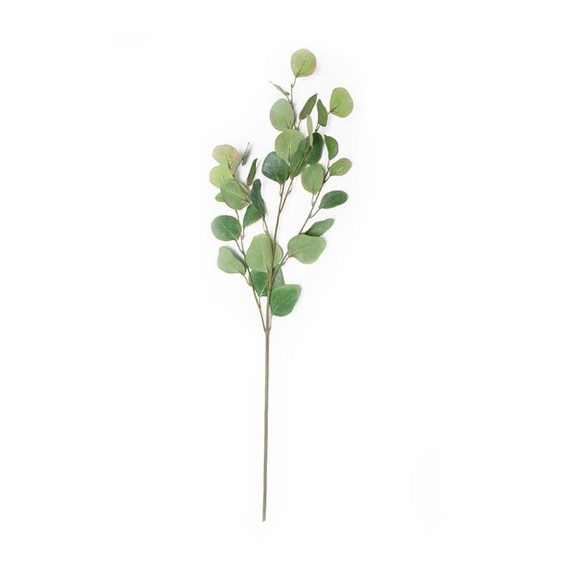 Spring Stems Round Eucalyptus Green