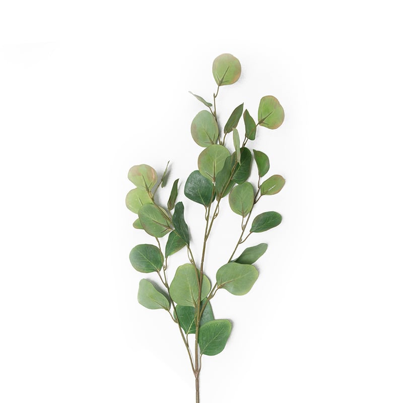 Spring Stems Round Eucalyptus Green