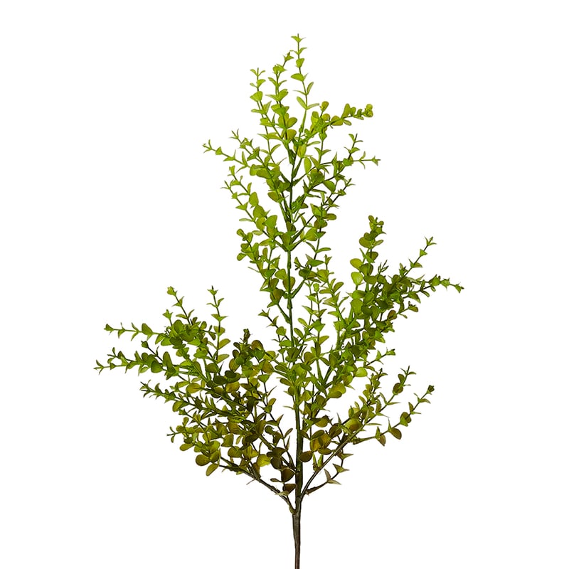 Spring Stems Round Leaf Spray Green