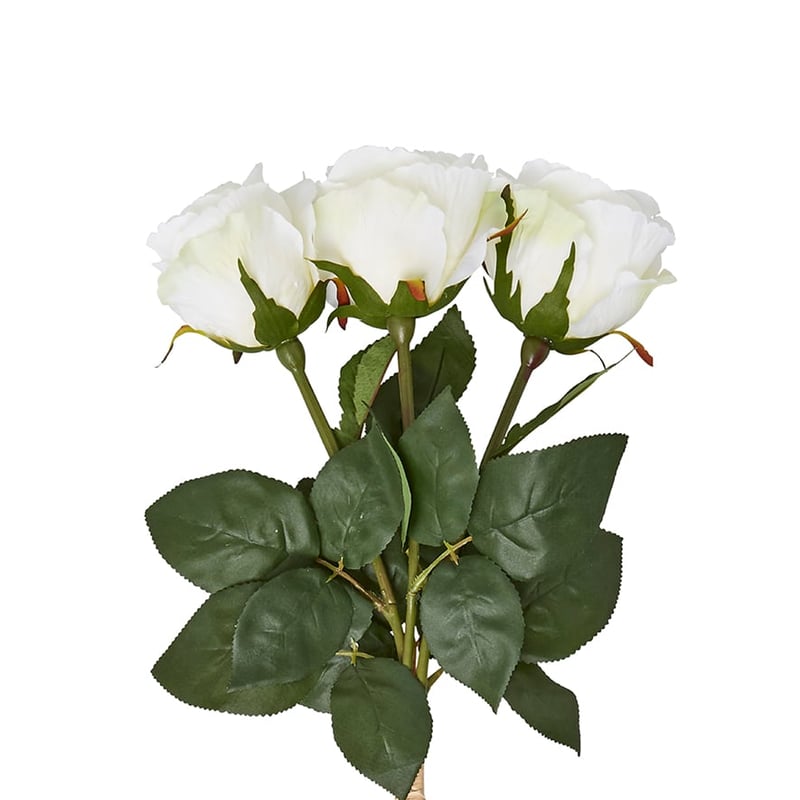 Spring Stems White Roses