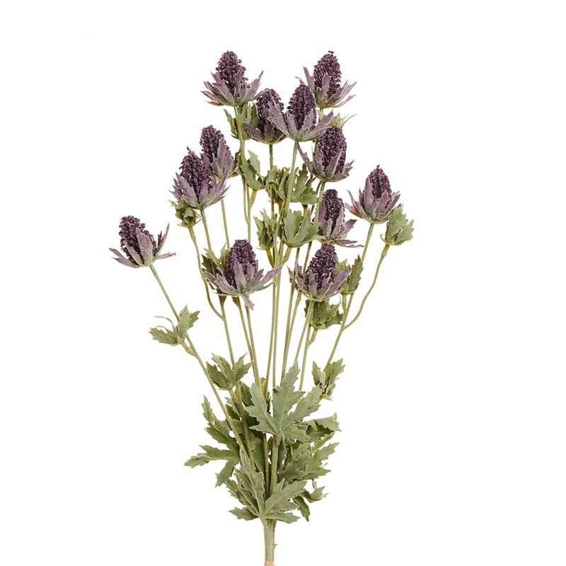 Spring Stems Thistle Purple