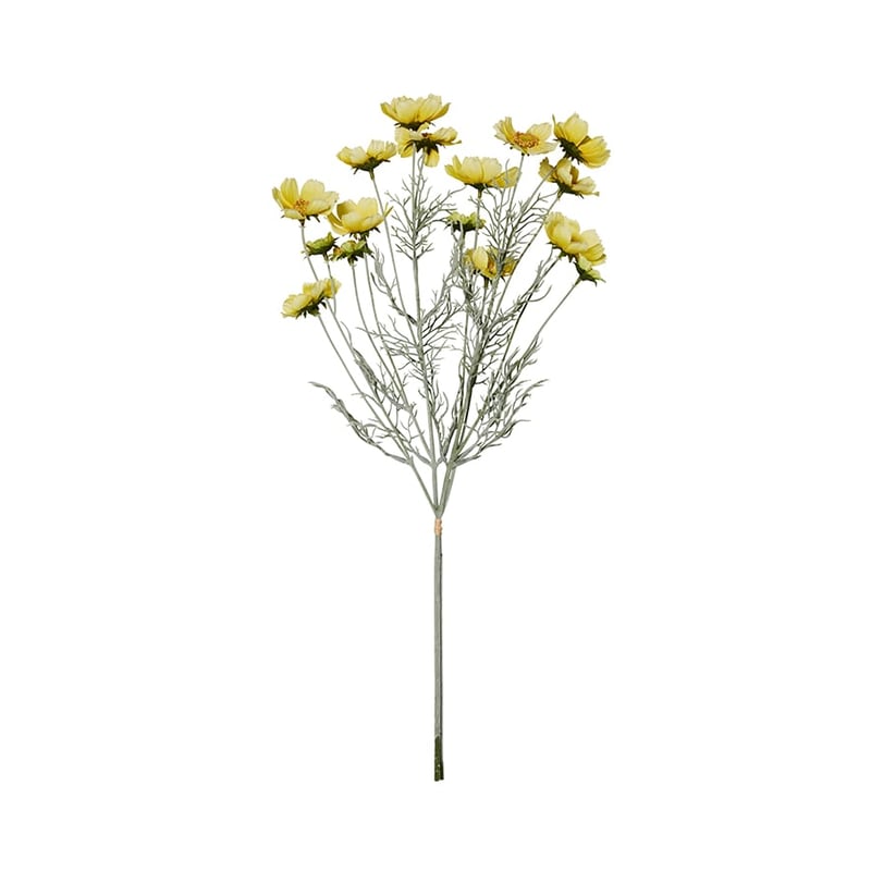 Spring Wild Cosmos Yellow Stem