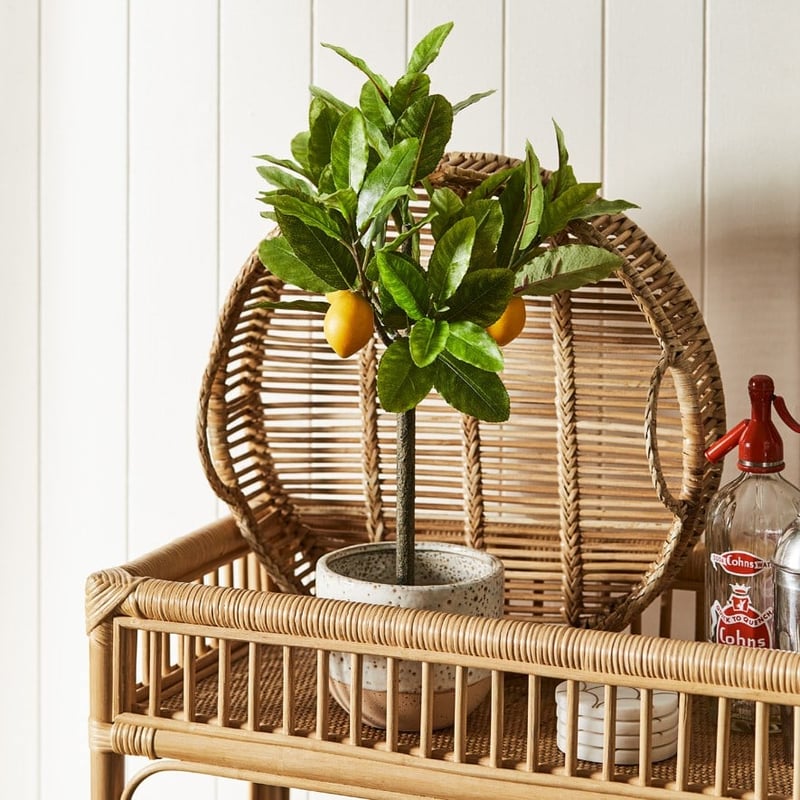 Hemingway Natural Rattan Round Tray