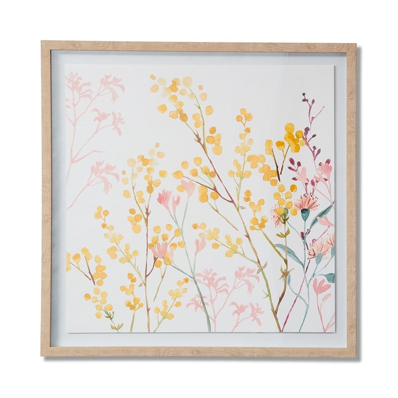 Native Garden Saffron Kangaroo Paw Wall Art