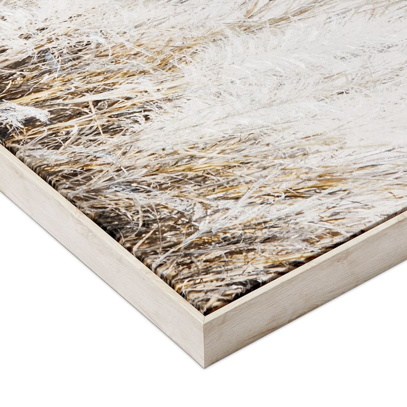 Harvest Marshmallow Large Pampas Grass Canvas