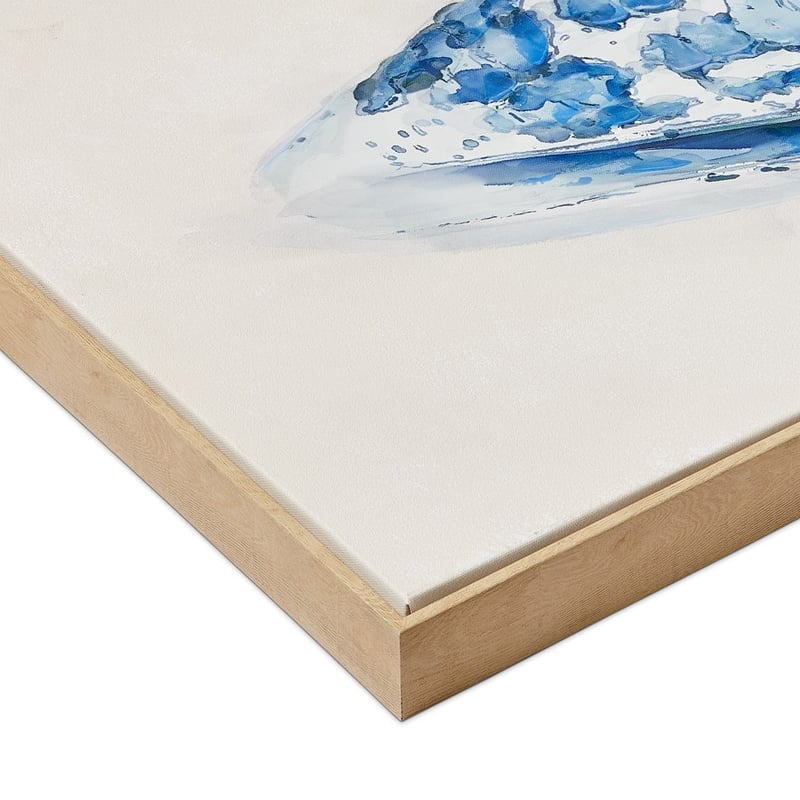 Aquatic Shell Peninsula Canvas