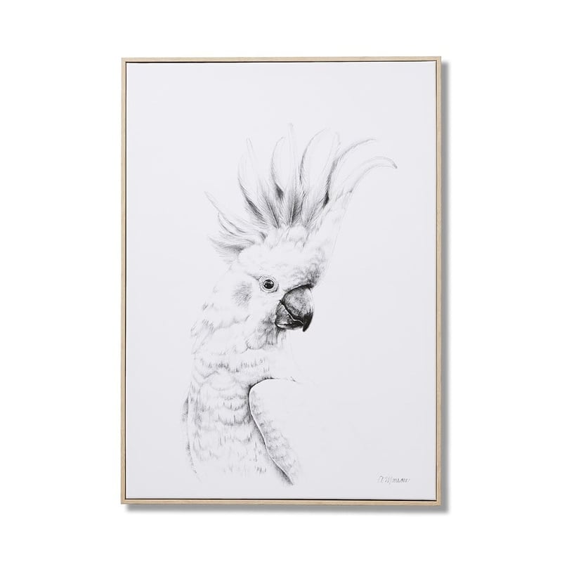 Anna Marrone Native Graphite Cockatoo Wall Art
