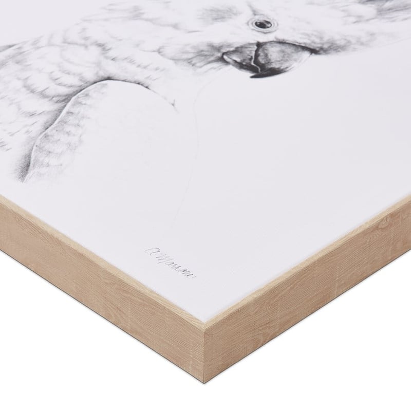 Anna Marrone Native Graphite Cockatoo Wall Art