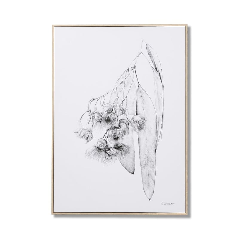 Anna Marrone Native Graphite Gumnut Wall Art