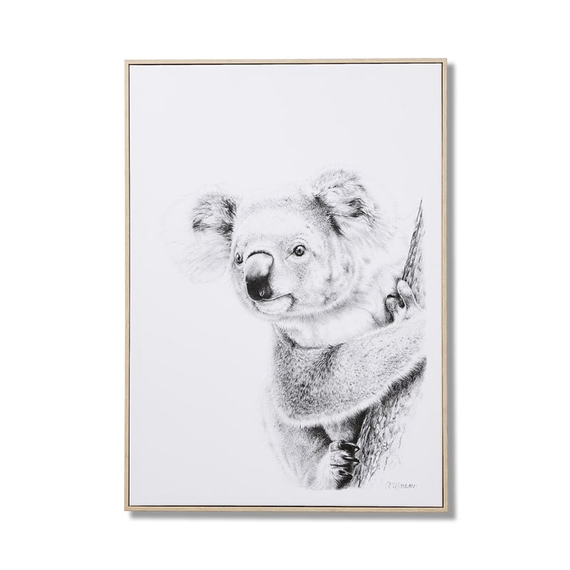 Anna Marrone Native Graphite Koala Wall Art