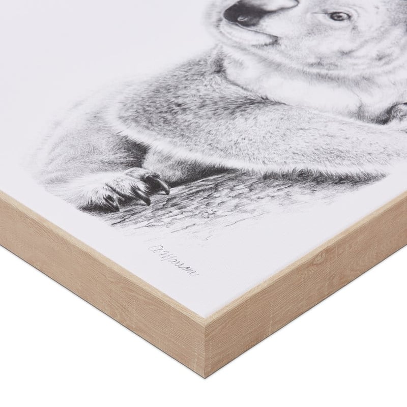Anna Marrone Native Graphite Koala Wall Art