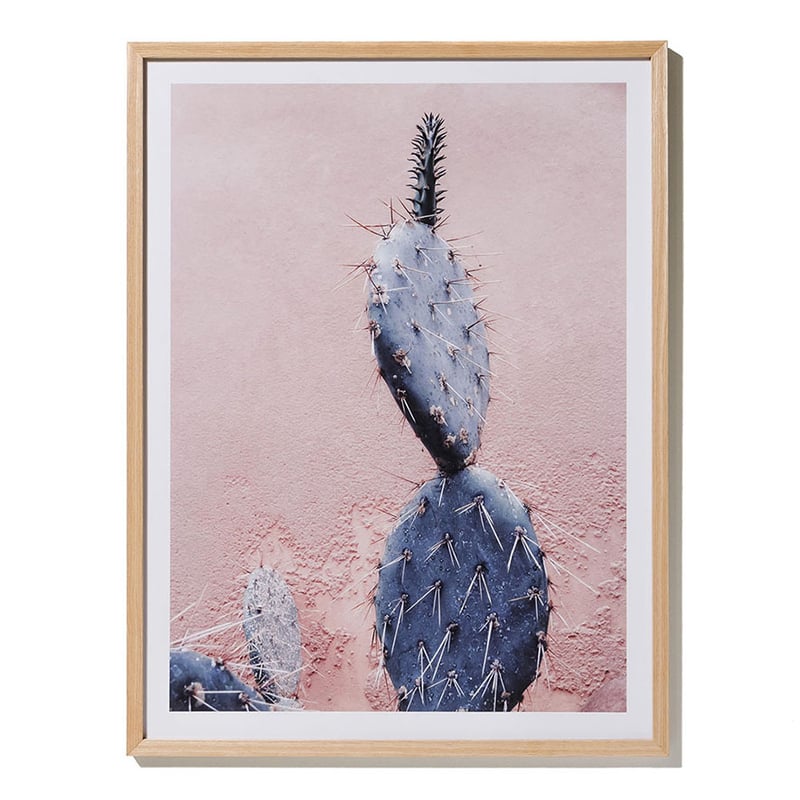 Amsterdam Photographic Print Cacti