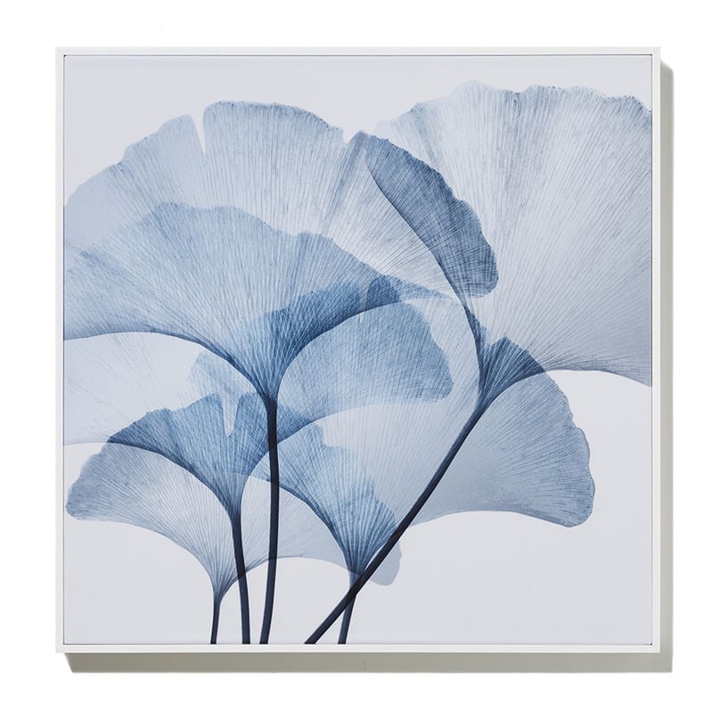 Botanic Gloss Azure Gingko Square Canvas