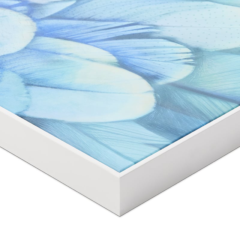 Angel Emerald Peacock 