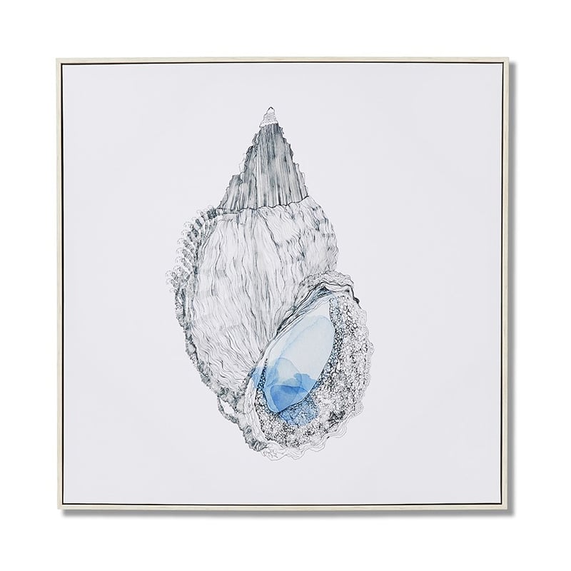 Coastal Canvas Shell Ocean Wall Art