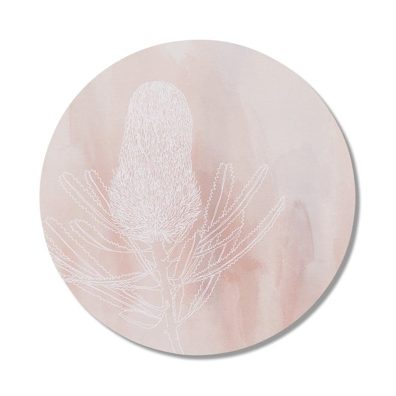 Native Flora Desert Sand Banksia Wall Art