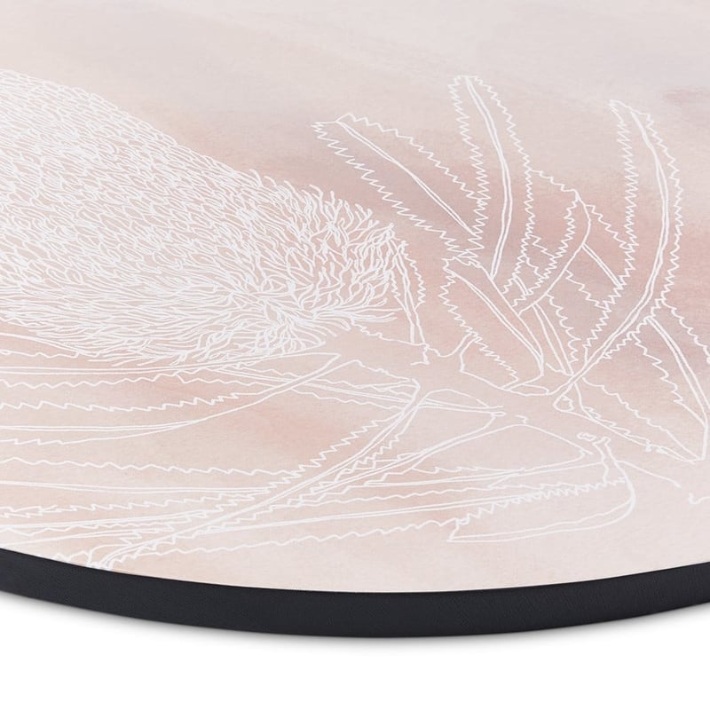 Native Flora Desert Sand Banksia Wall Art