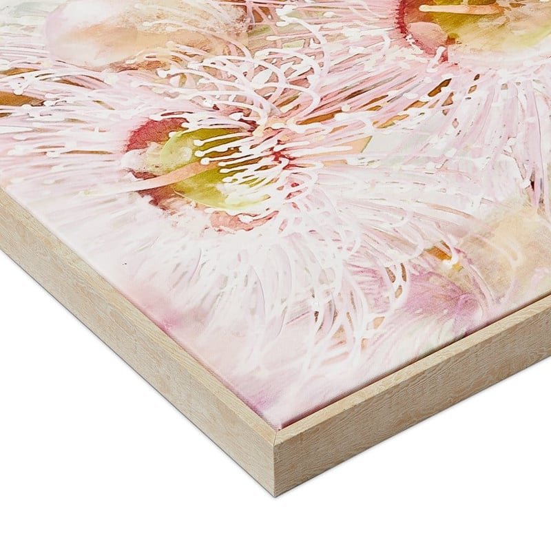 Kakadu Blush Eucalyptus Flower Wall Art