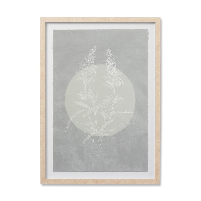 Sun Sage Bloom Floral Wall Art