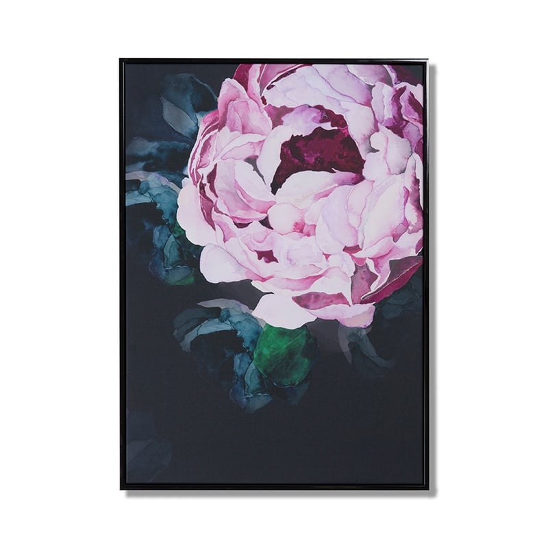 Midnight Garden Single Peony