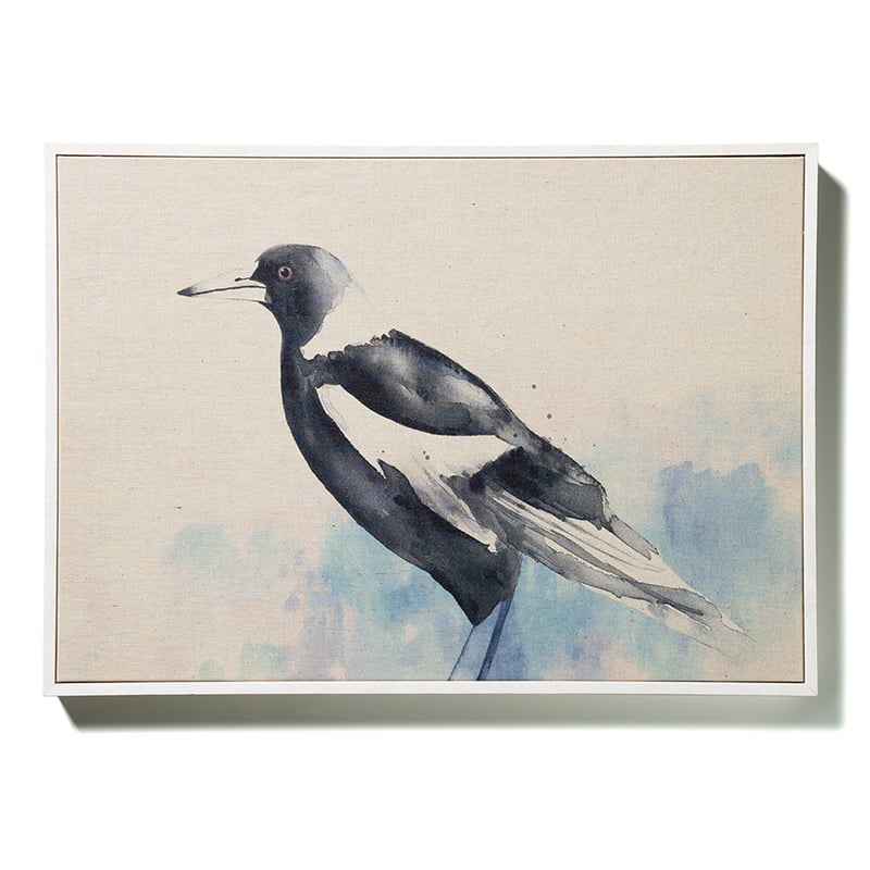 Native Bird Magpie Print