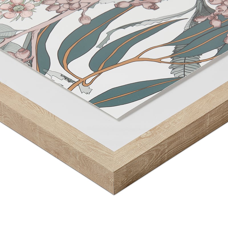 Waratah Sage Vintage Print