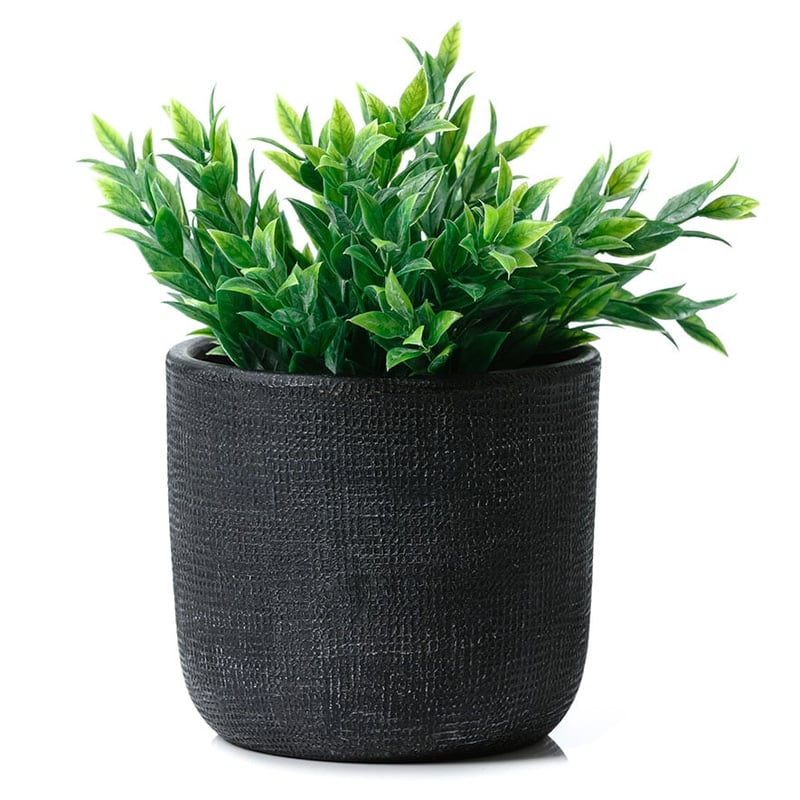 Black Madrid Pot
