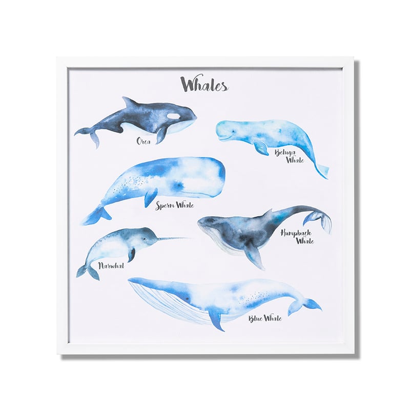 Whale Song Wall Art