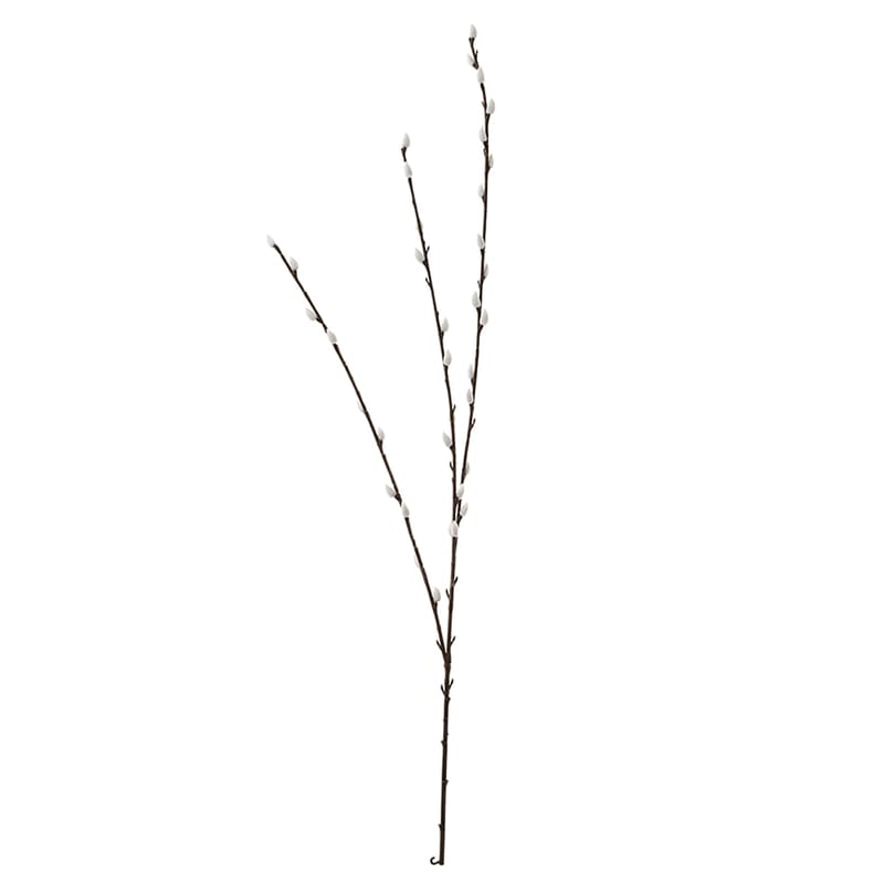 Spring Stems Pussy Willow Brown