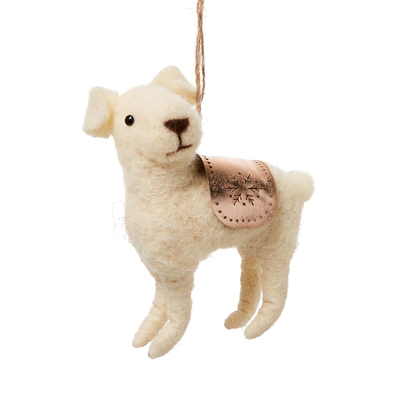 Woollen Family Copper Labrador