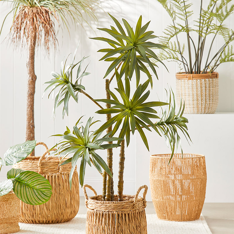 Shop The Artificial Plants & Indoor Pots Guide Adairs