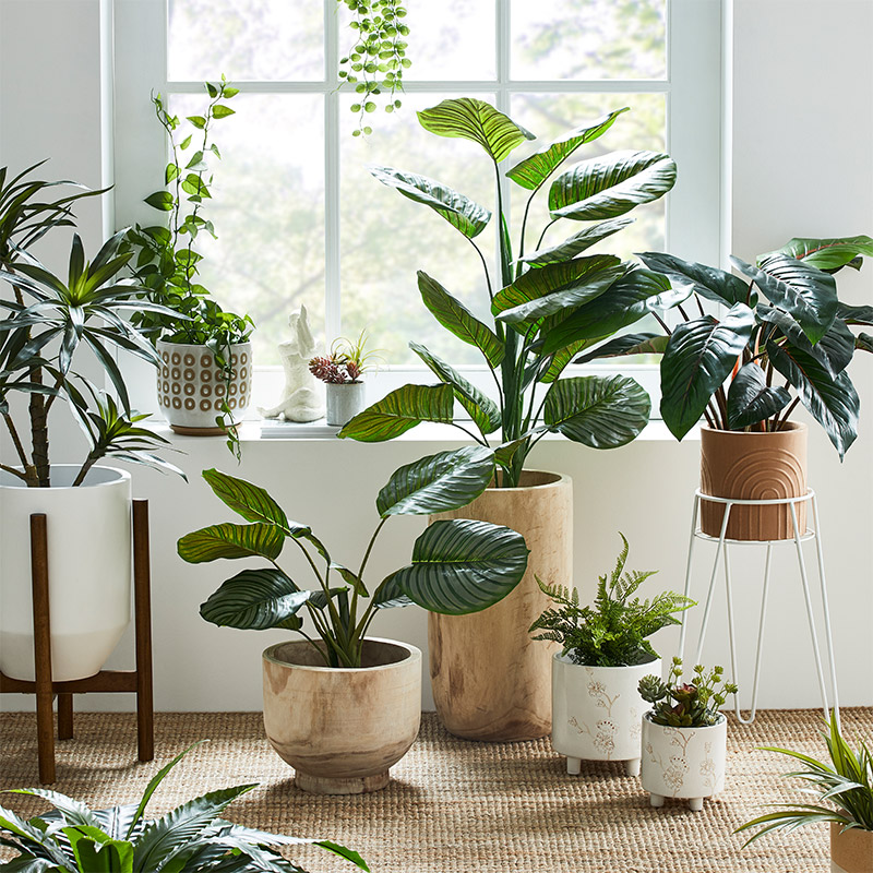 Shop The Artificial Plants & Indoor Pots Guide Adairs