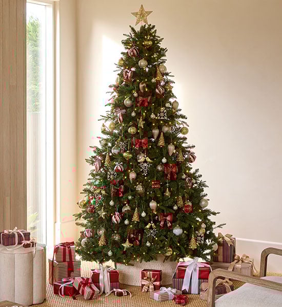 Tree Themes_Tips - Large.jpg