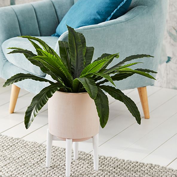  Vegas Pink Pot Planter in white, displaying a green plant inside. Blue one seater couch in the background against white floorboards and carpet