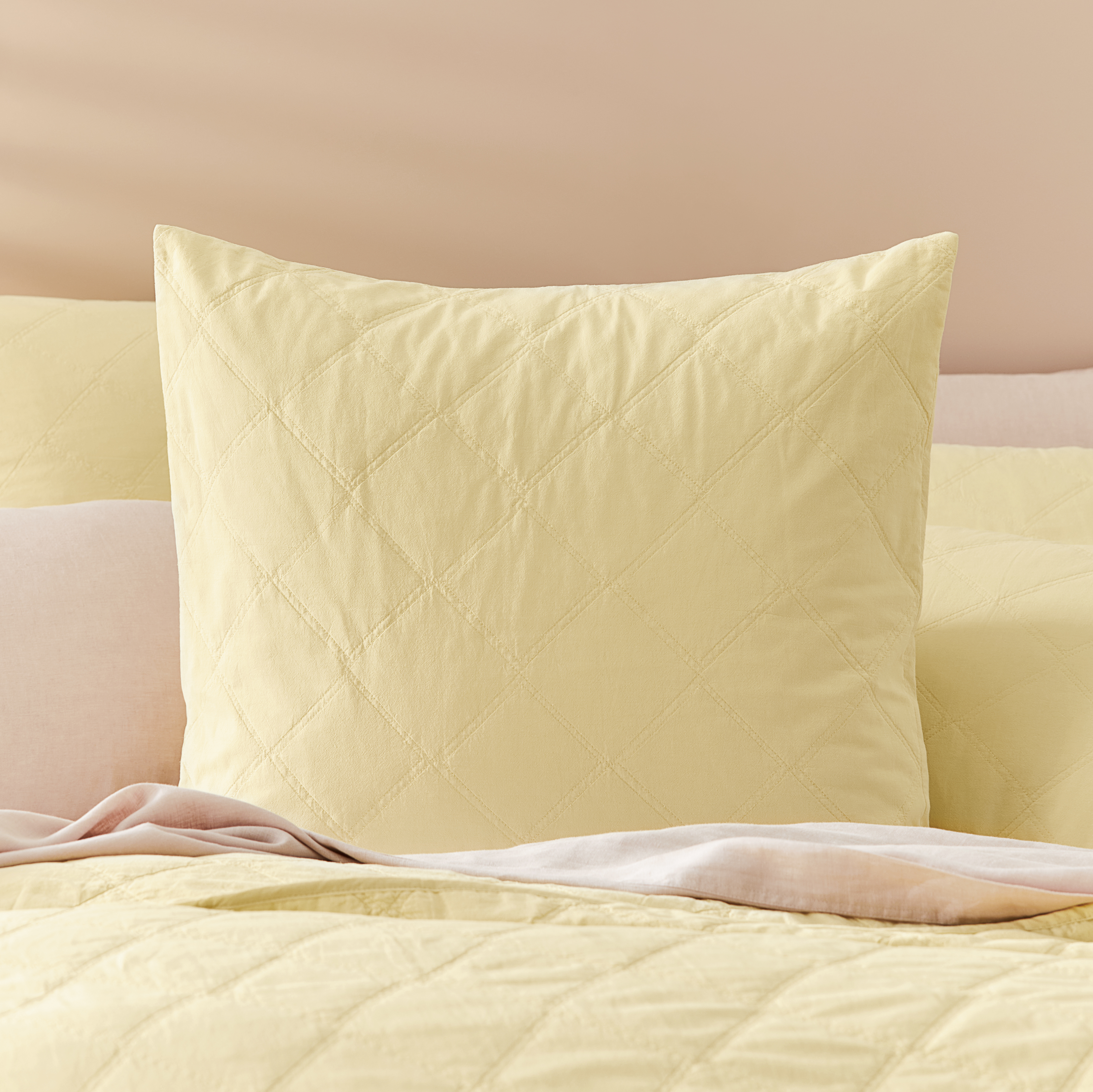 cozy blanket teddy dormeo