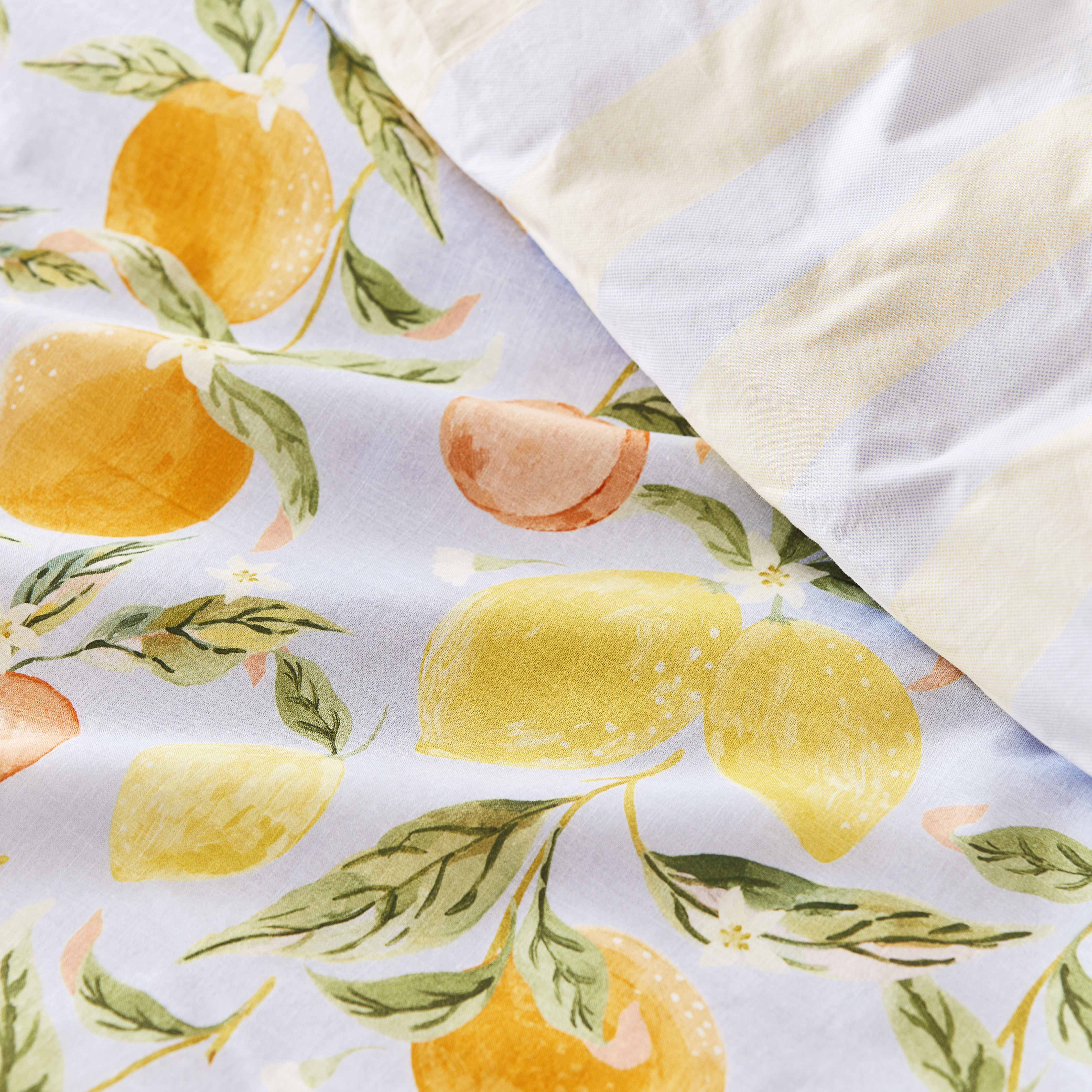 Fruit Sorbet Sky Blue Quilt Cover Set + Separates Adairs