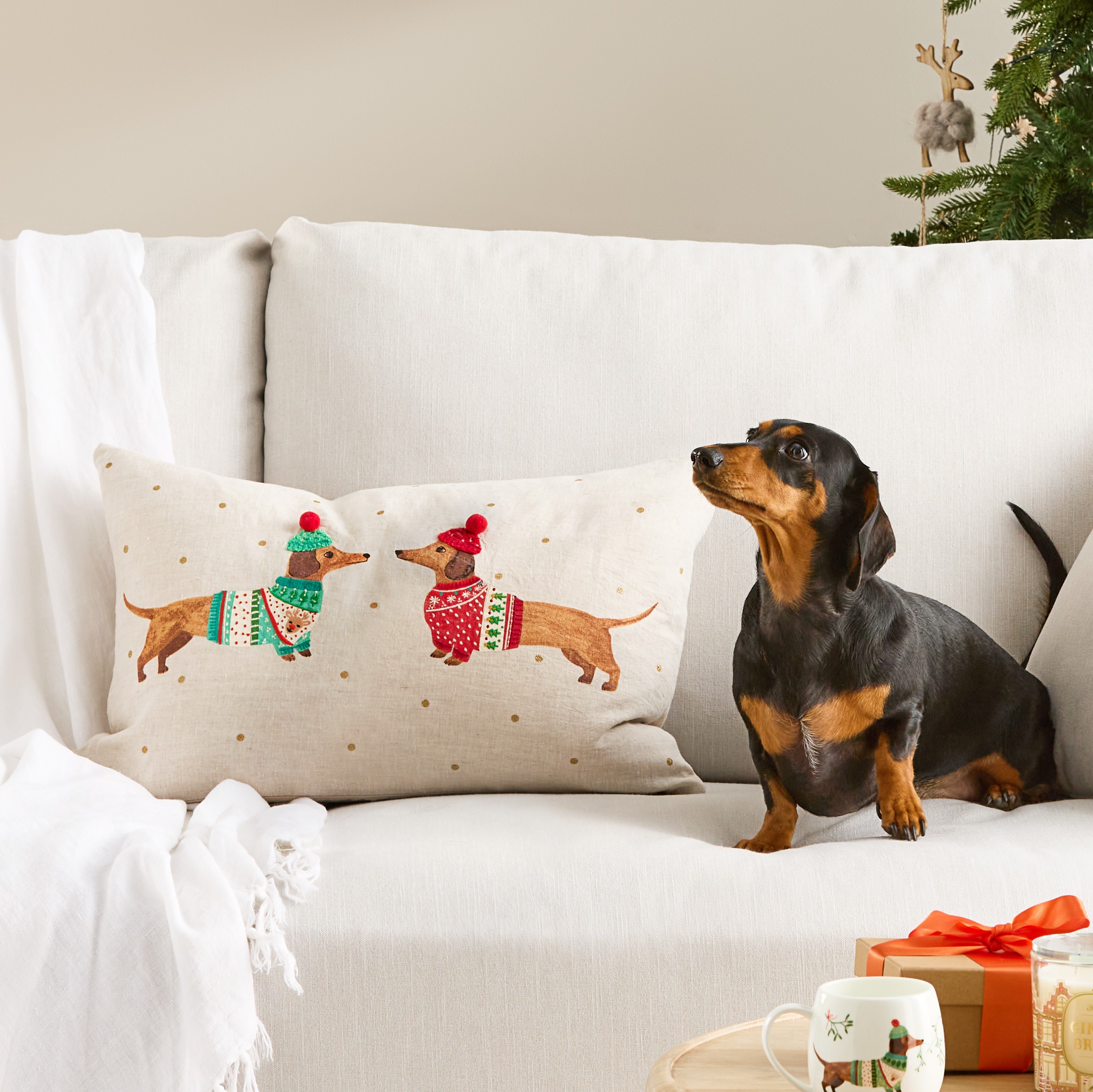 Festive Dachshund Cushion Homewares Adairs