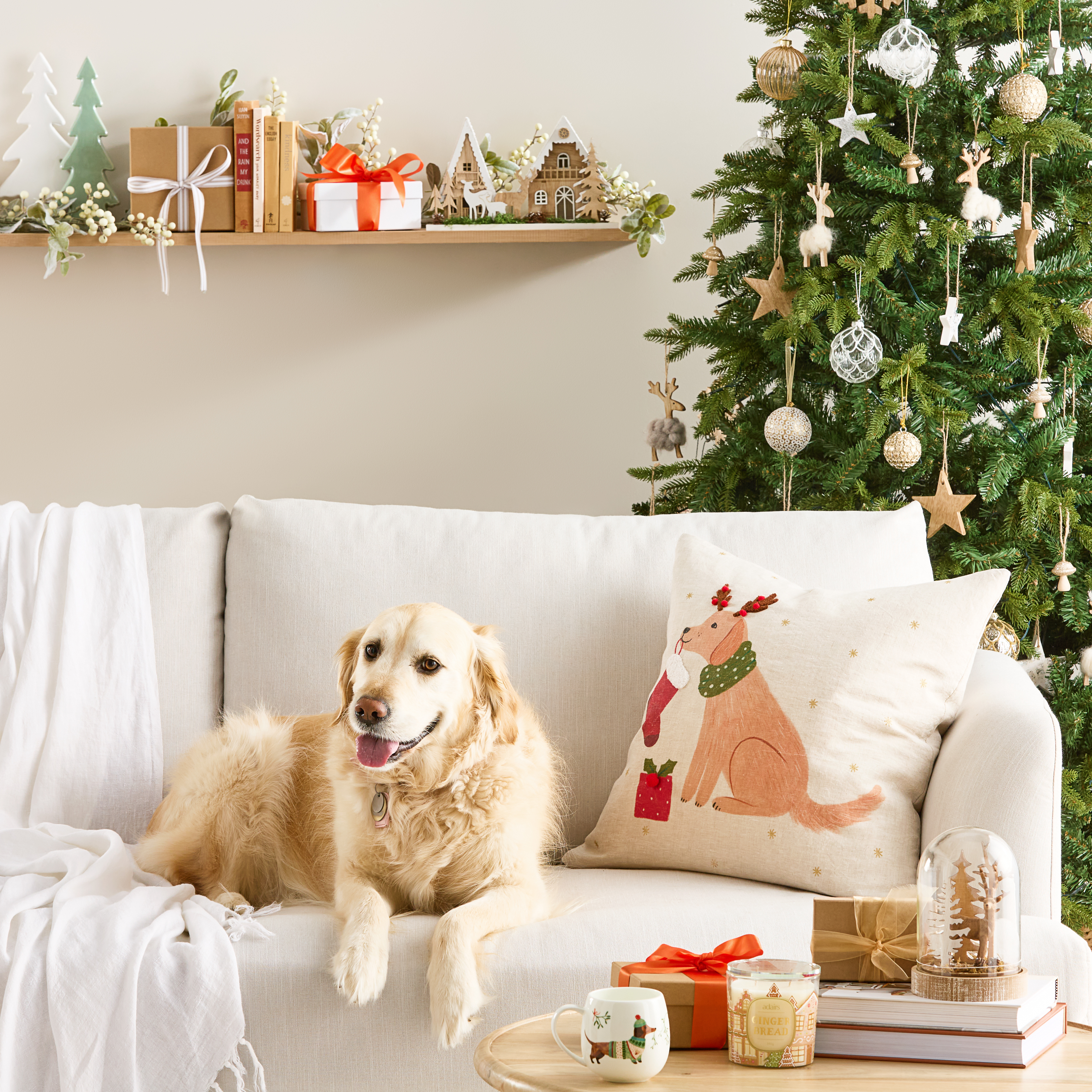 Festive Labrador Cushion Adairs