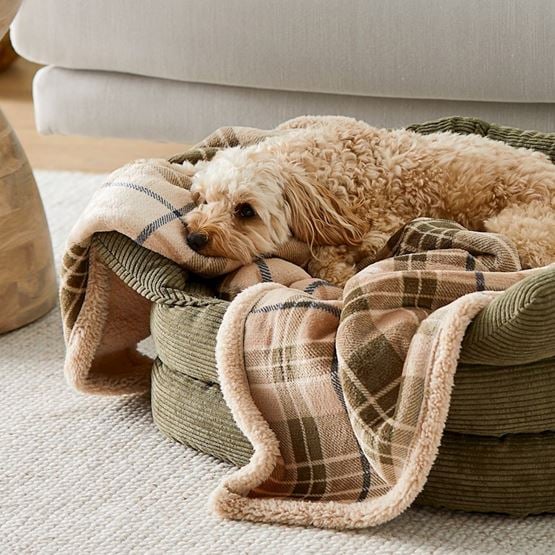 Maisy Biscuit & Forest Check Pet Blanket