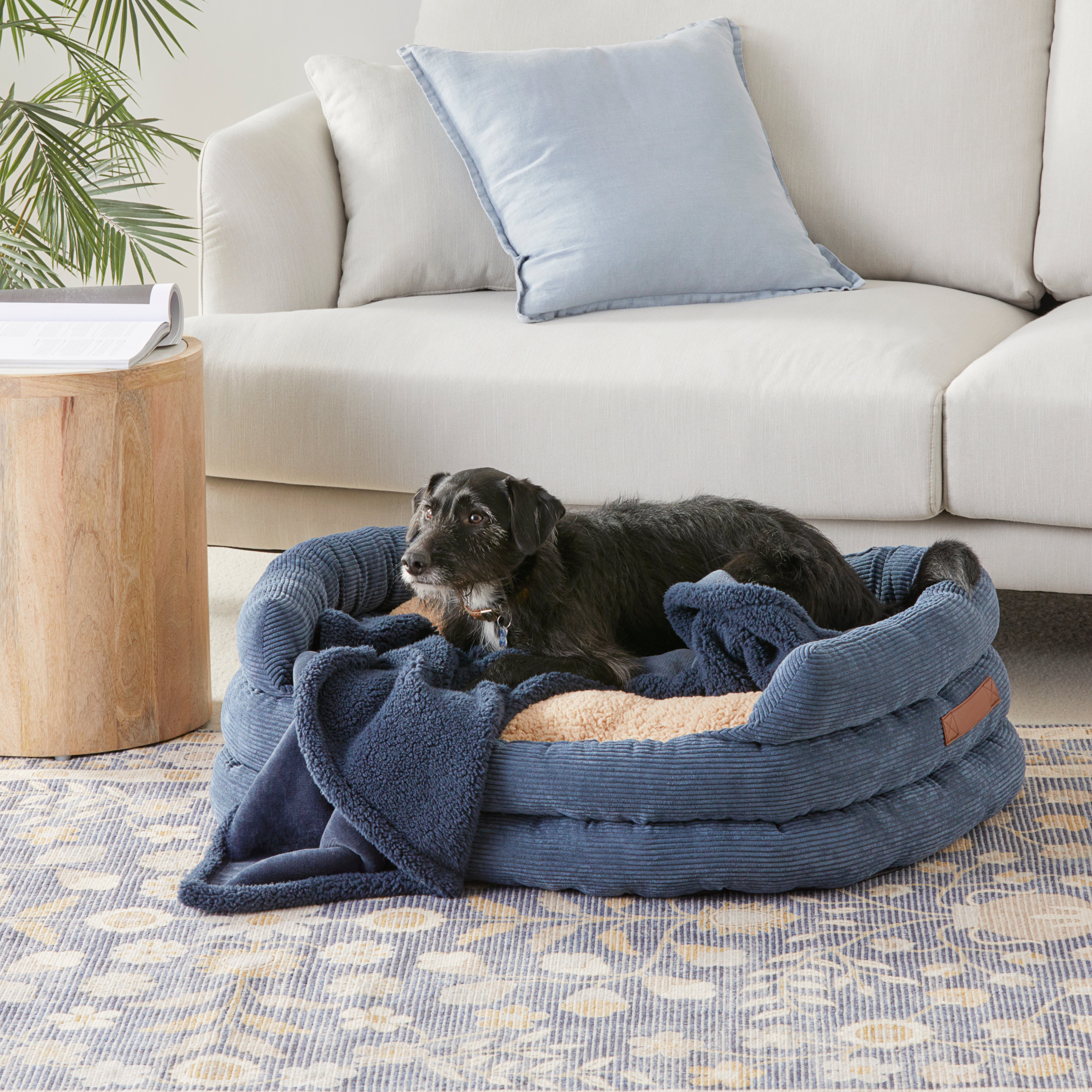 Navy dog blanket hotsell