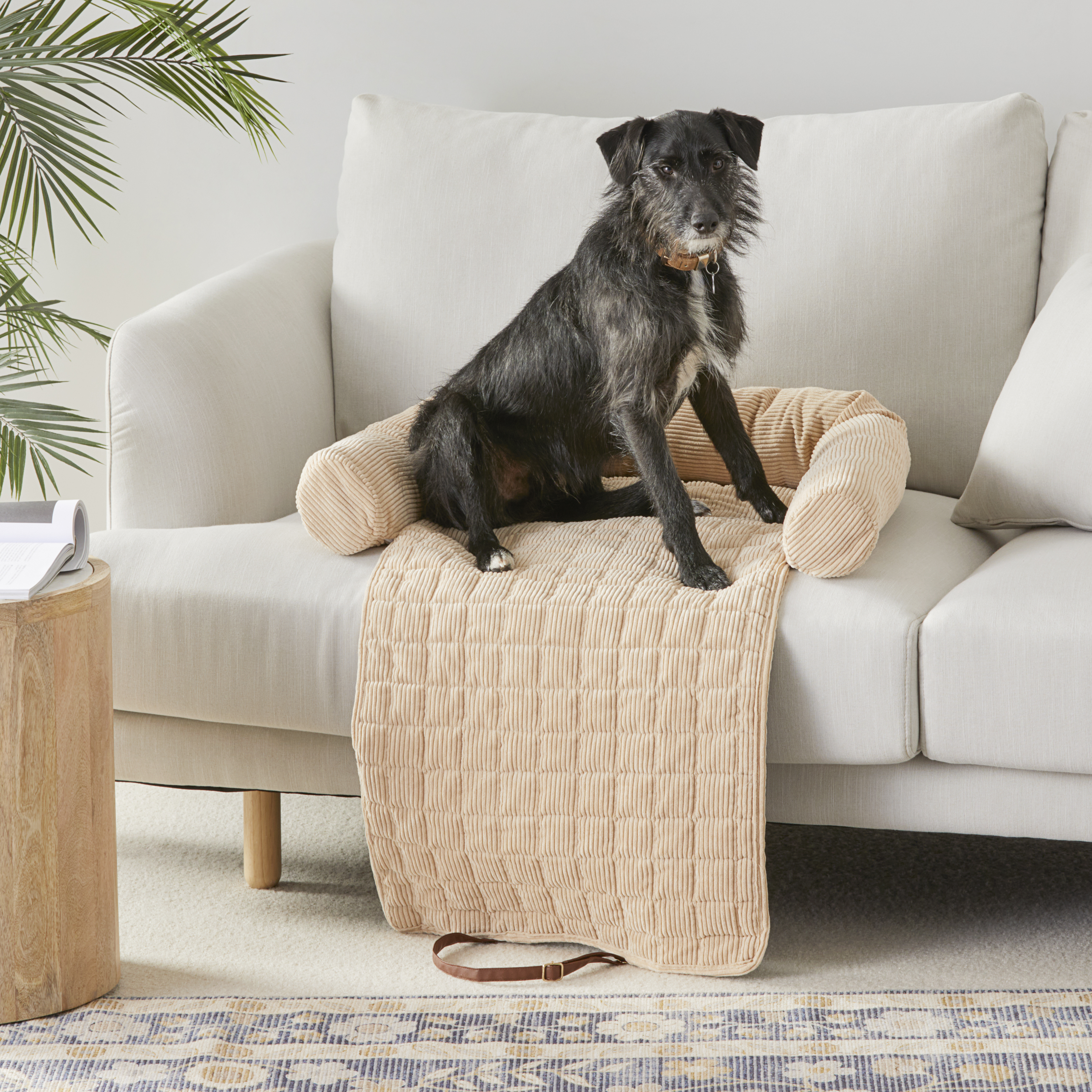 Fetch Maisy Biscuit Corduroy Fold Out Pet Bed Homewares Pets