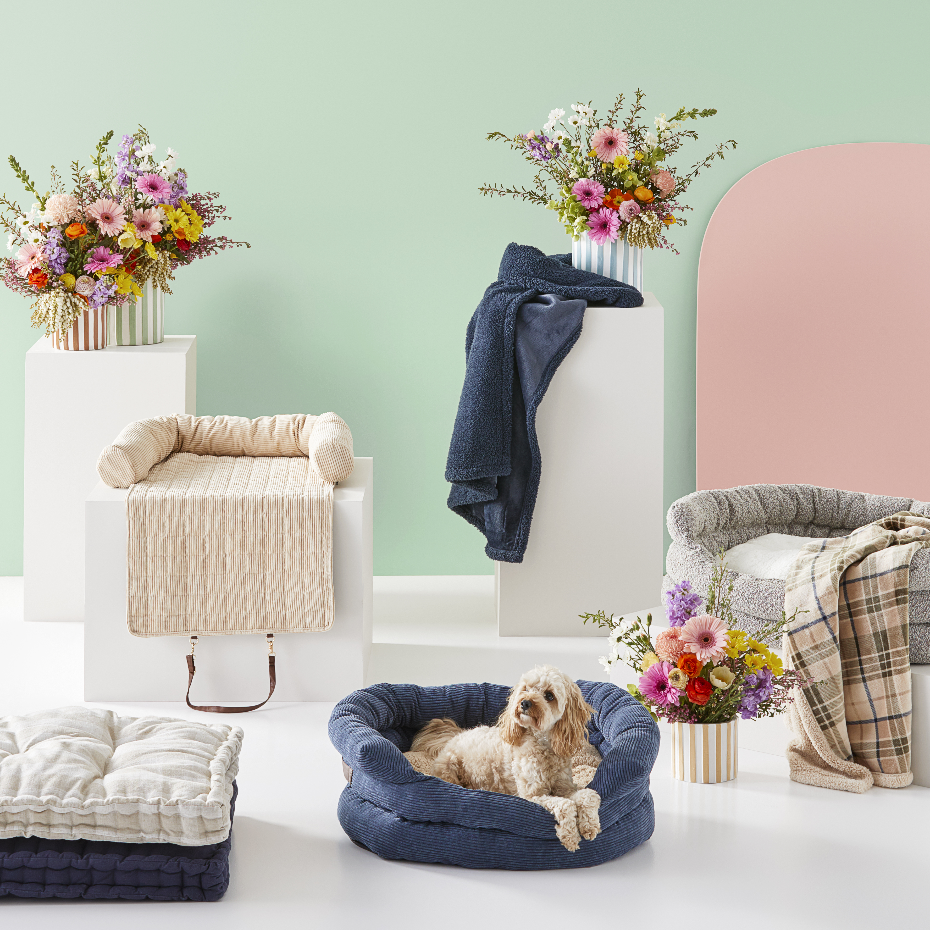 Aldi fold on sale out bed